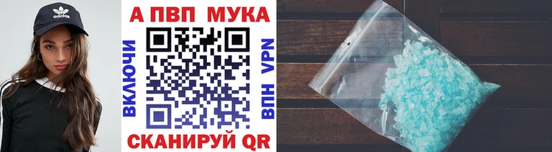 сколько стоит Кизляр Альфа ПВП СК