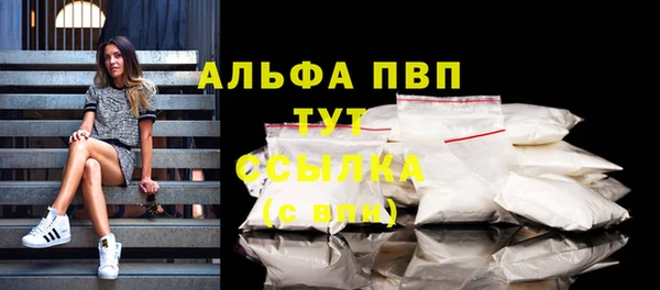 apvp Верея