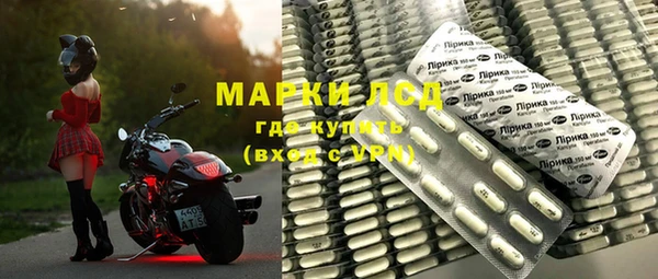 apvp Верея