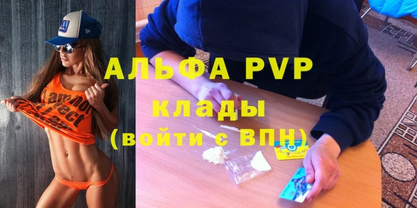 apvp Верея
